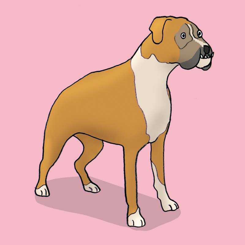 TwinFit Homonyma - Anybook ready!