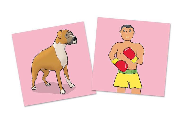 TwinFit Homonyma - Anybook ready!