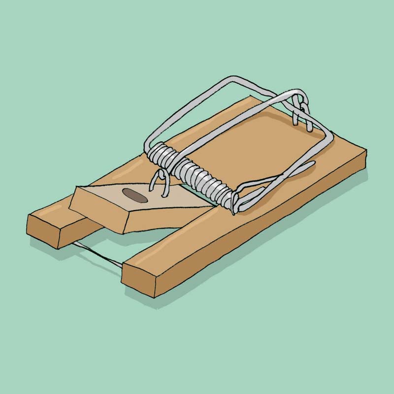 TwinFit Funktiona - Anybook ready!