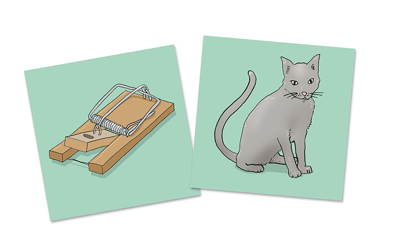 TwinFit Funktiona - Anybook ready!