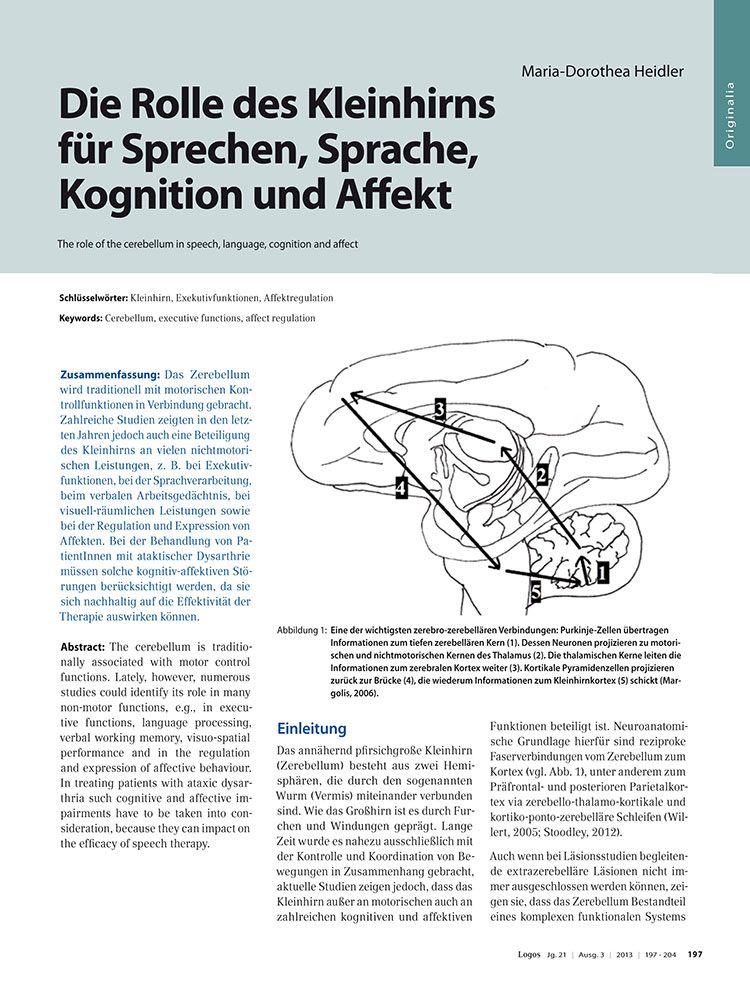 Die Rolle des Kleinhirns für Sprechen, Sprache, Kognition und Affekt