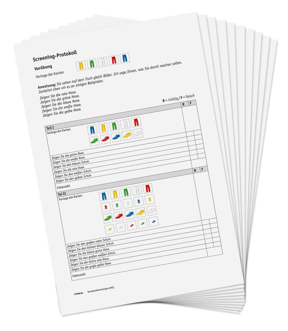 VerstehenMerkenZeigen (VMZ) - Protokollbögen (10 Stück)
