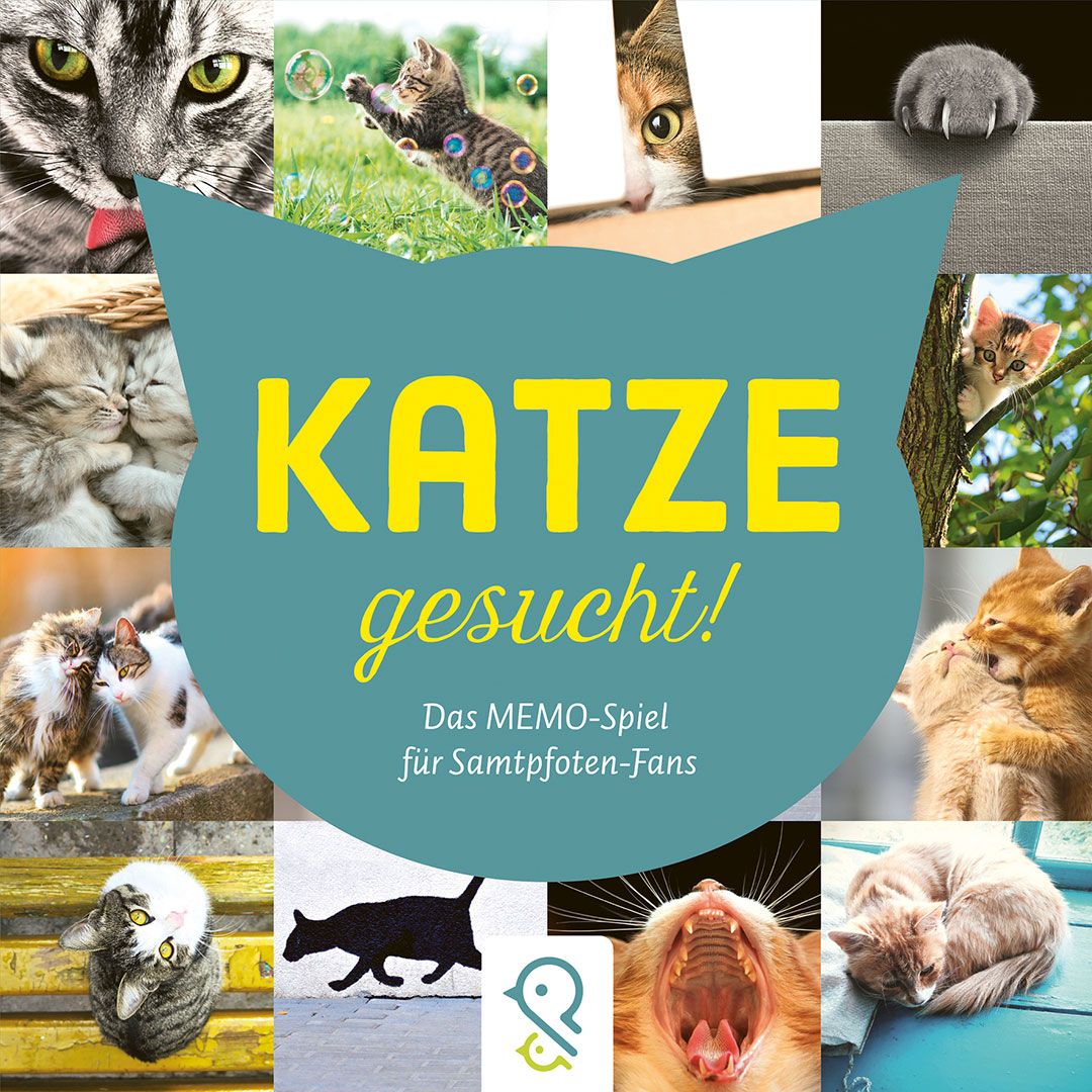 Katze gesucht!